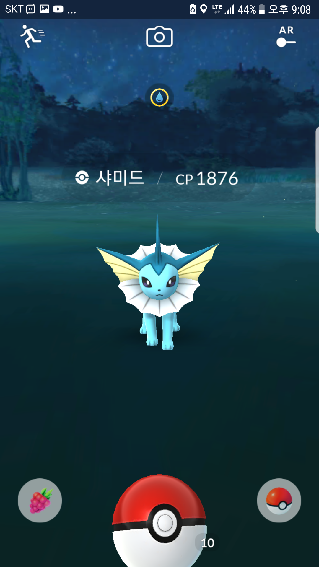 야생 샤미드!  Cp도  괜춘