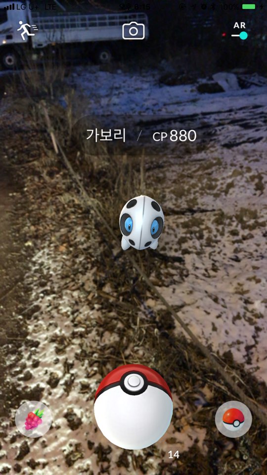 가보리