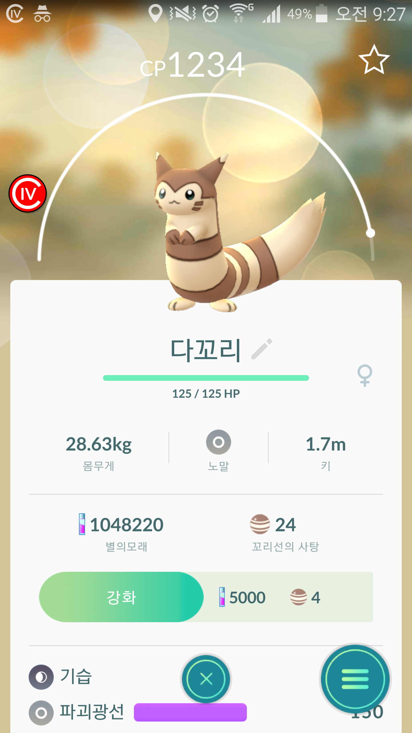다꼬리 1234