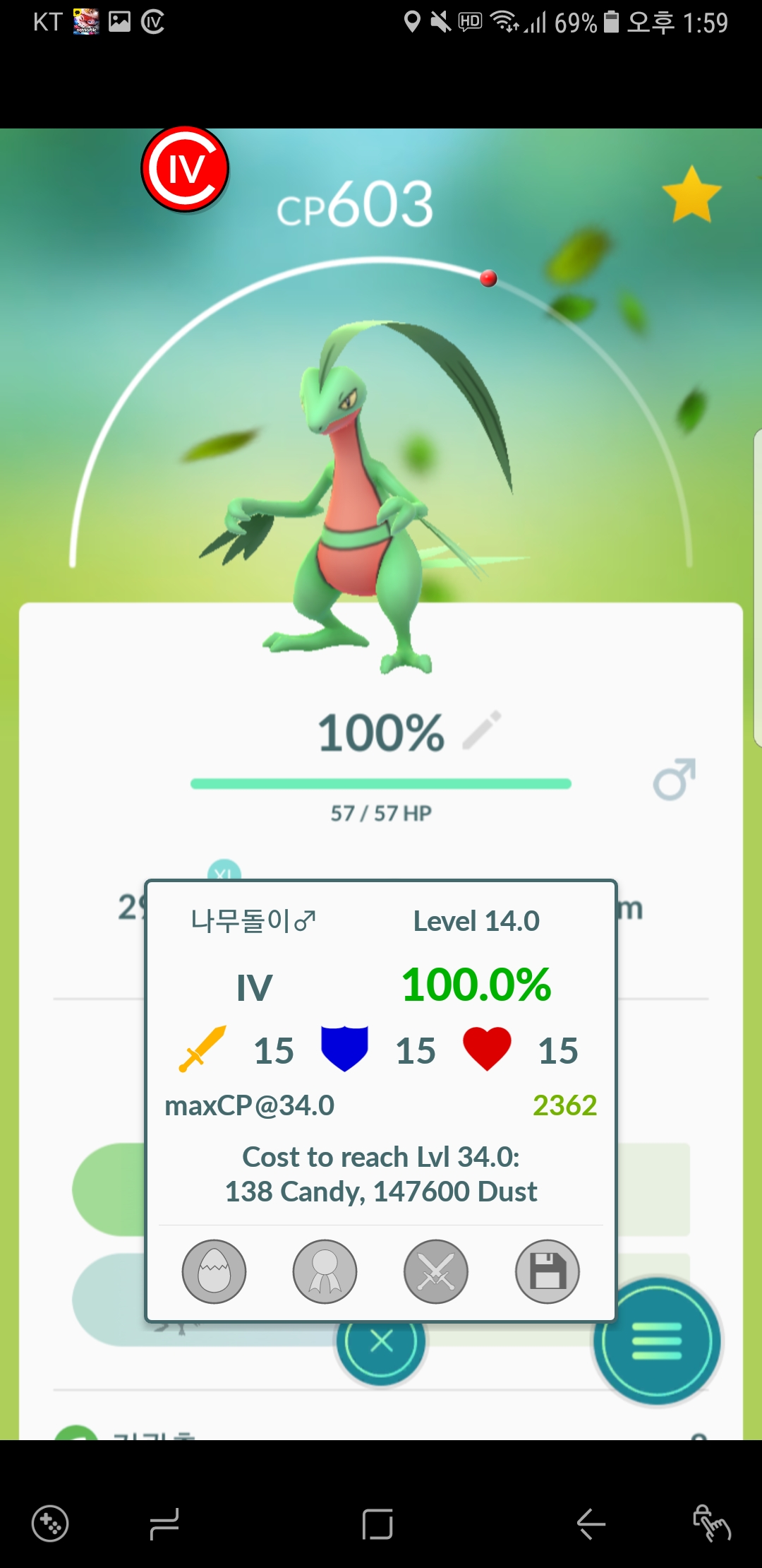 100나무돌이 키워요말아요
