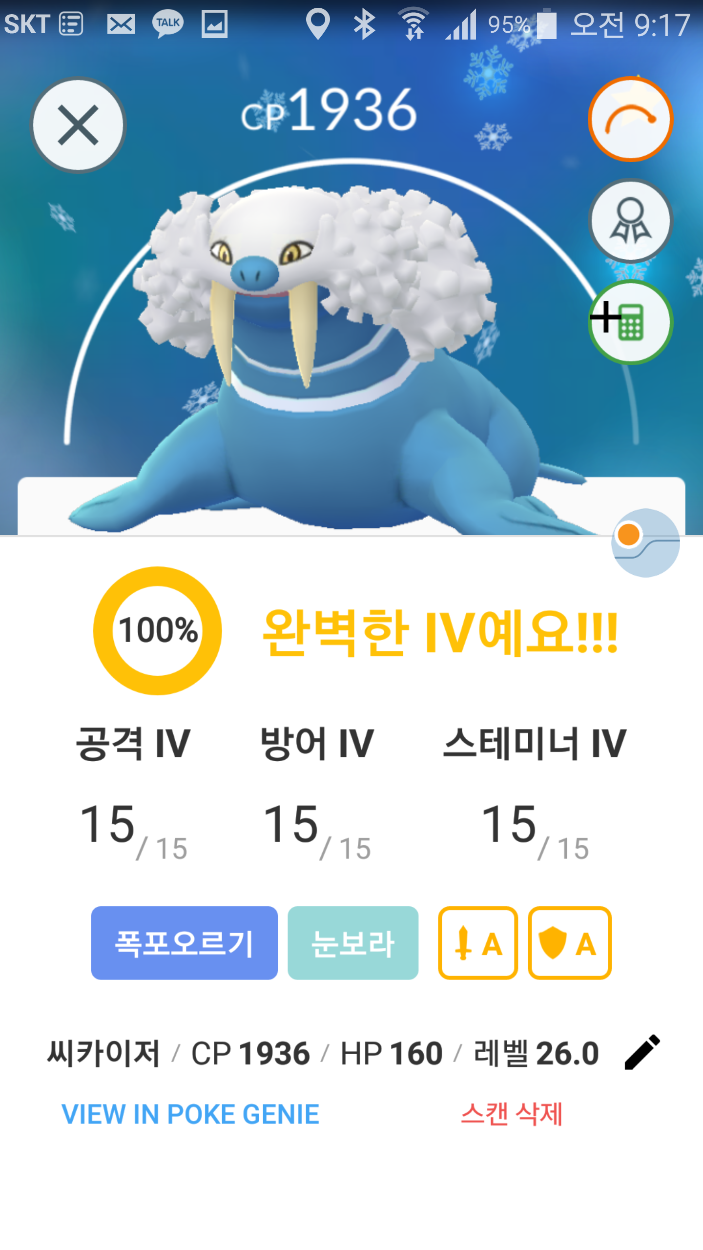 대굴레오 100