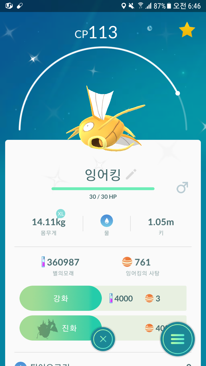 세번째 황잉어