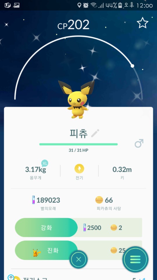 이로치 피츄
