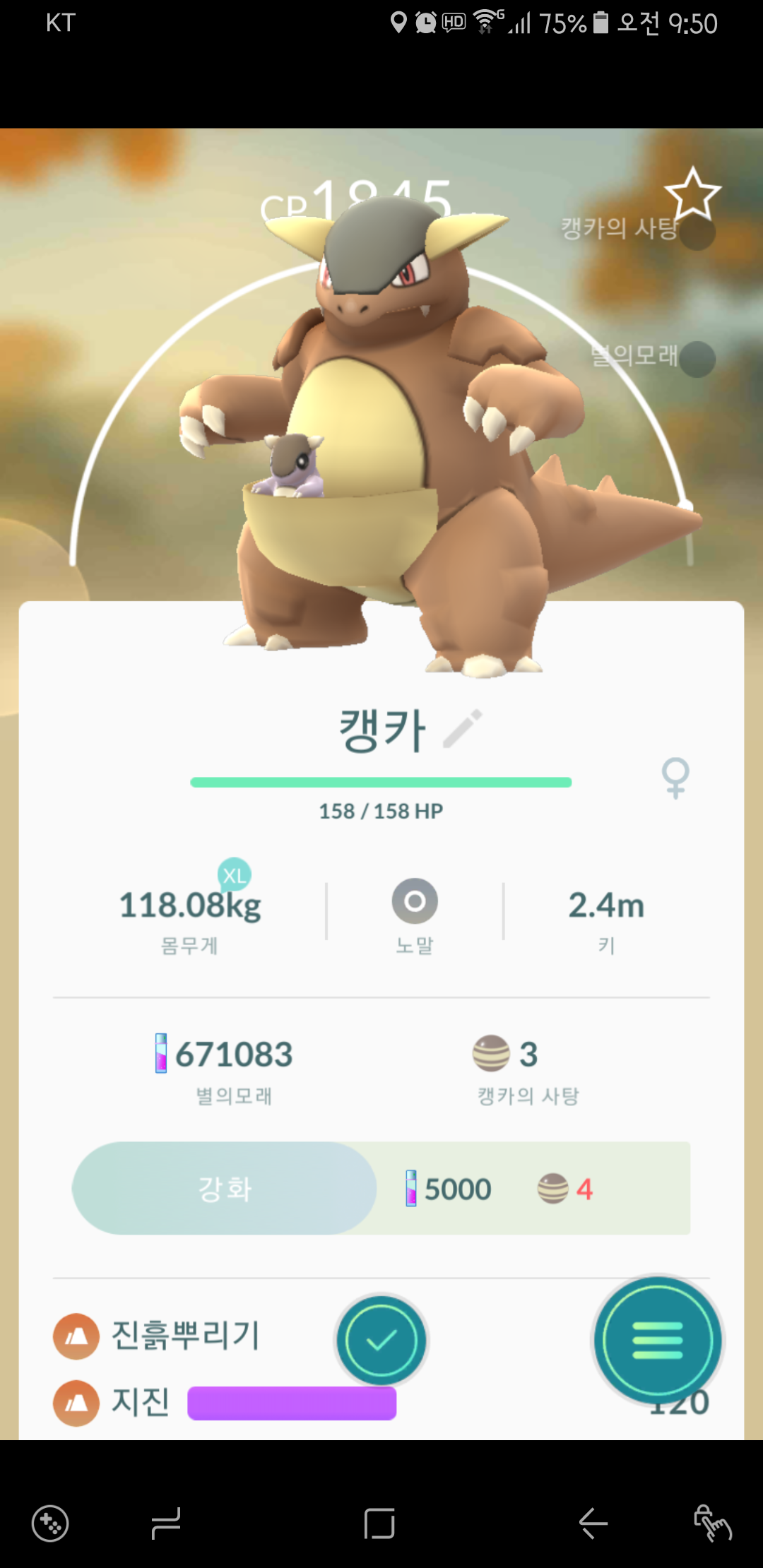 캥카잡았어요