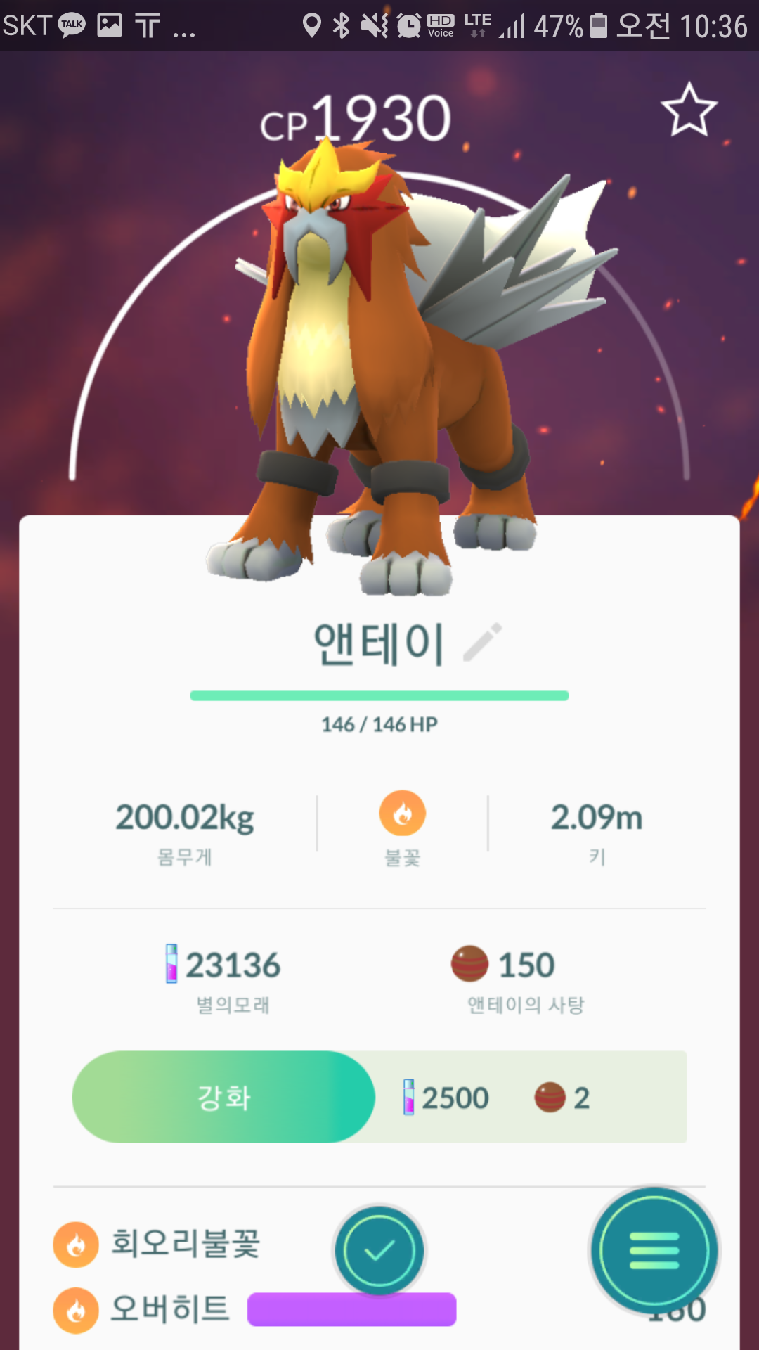 앤테이100%잡았습니다