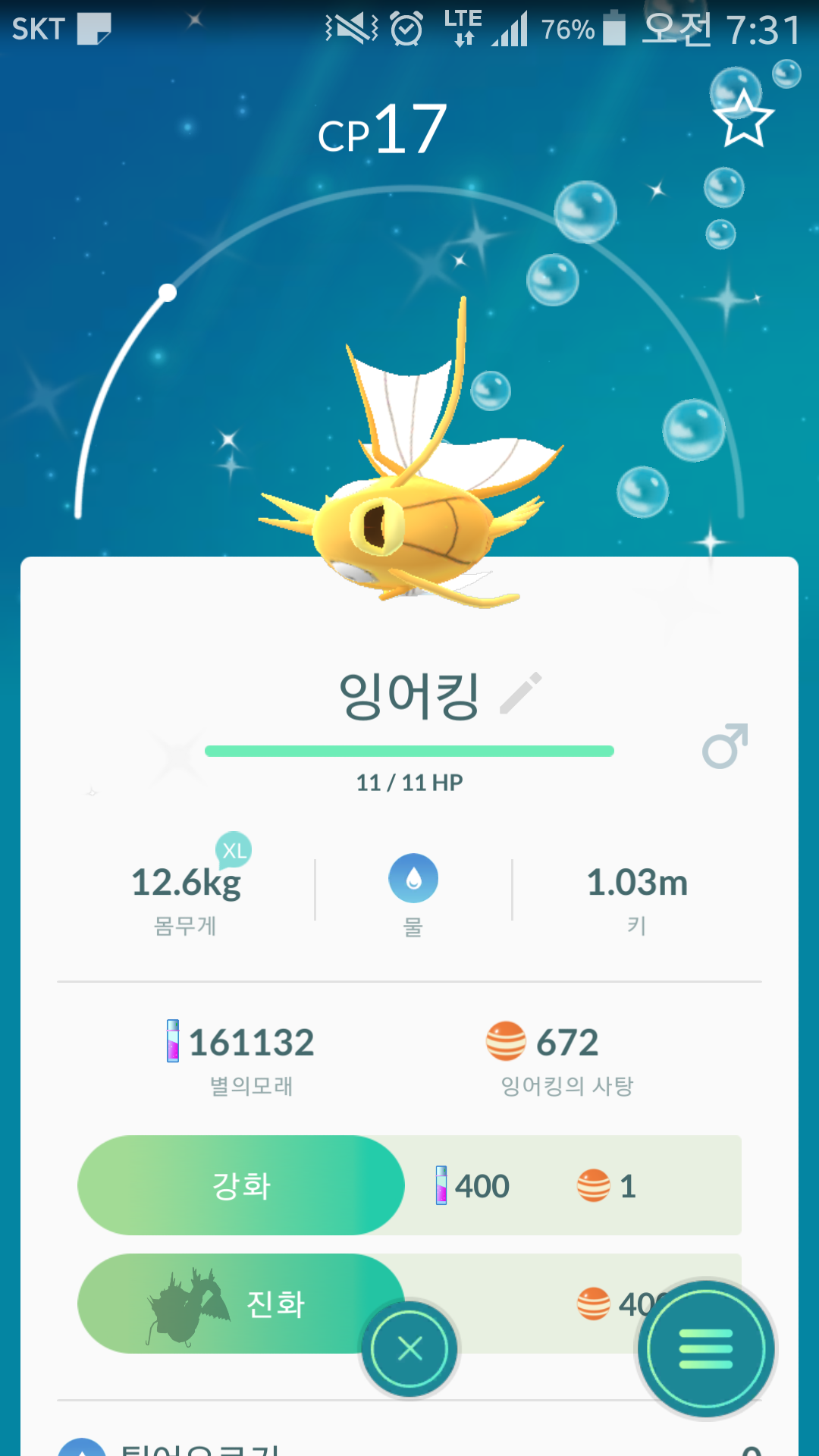 첫 황금잉어킹