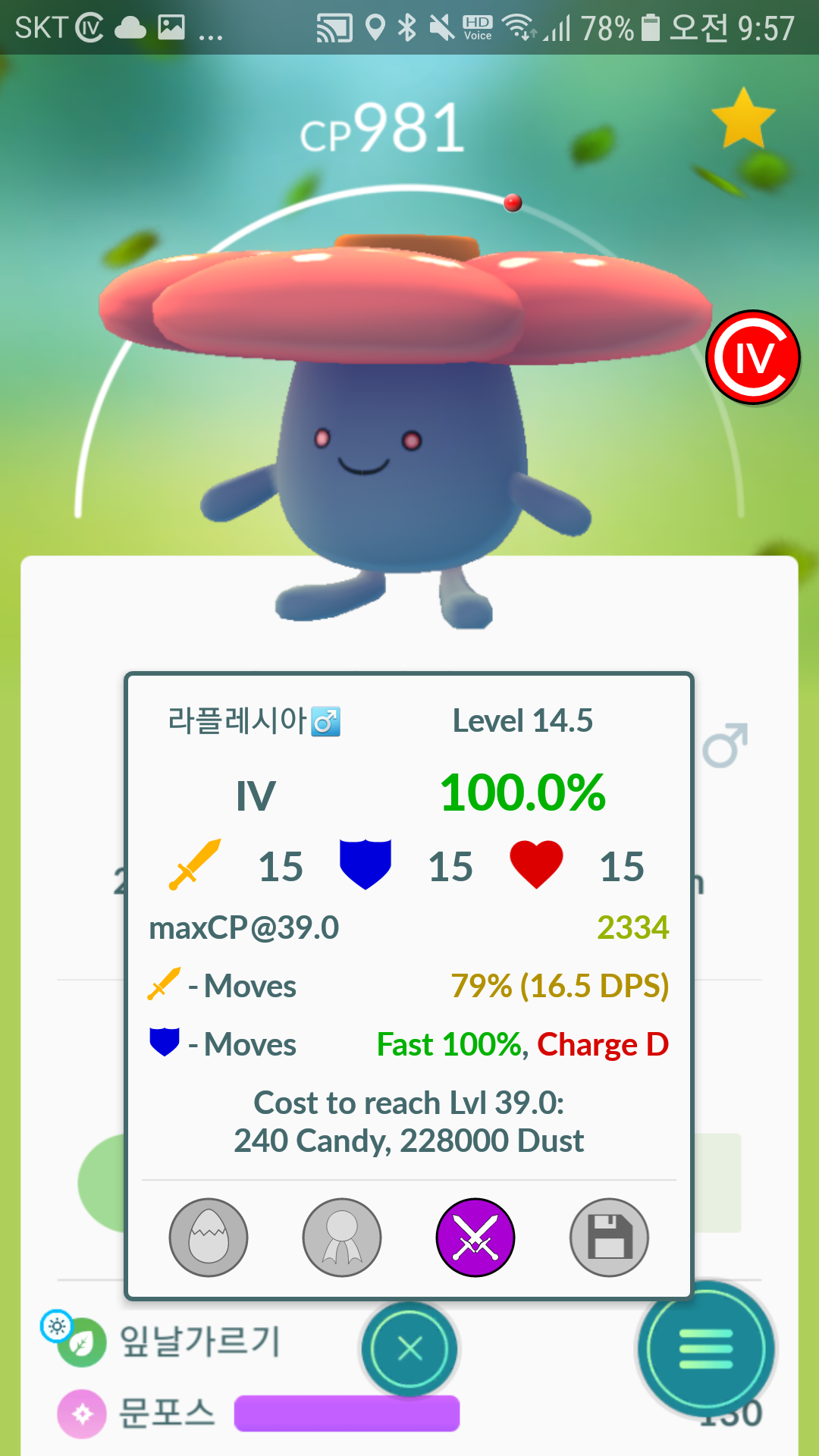 영천놀러갔다가 야생라플레시아100잡았습니다