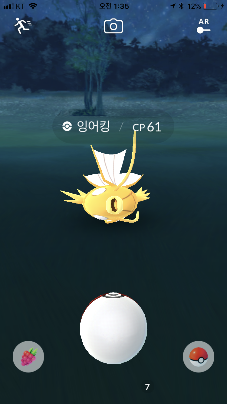 황금 잉어킹 잘 뜨네요