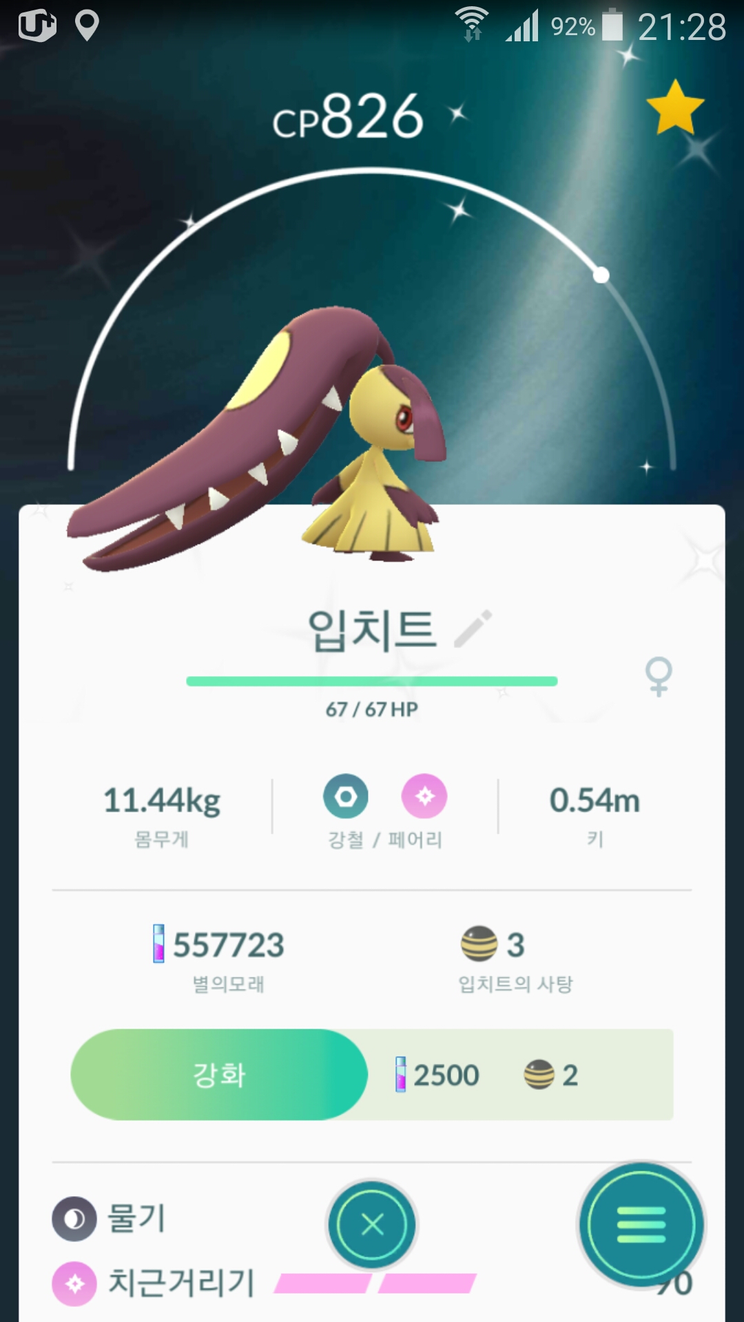 이로치 입치트