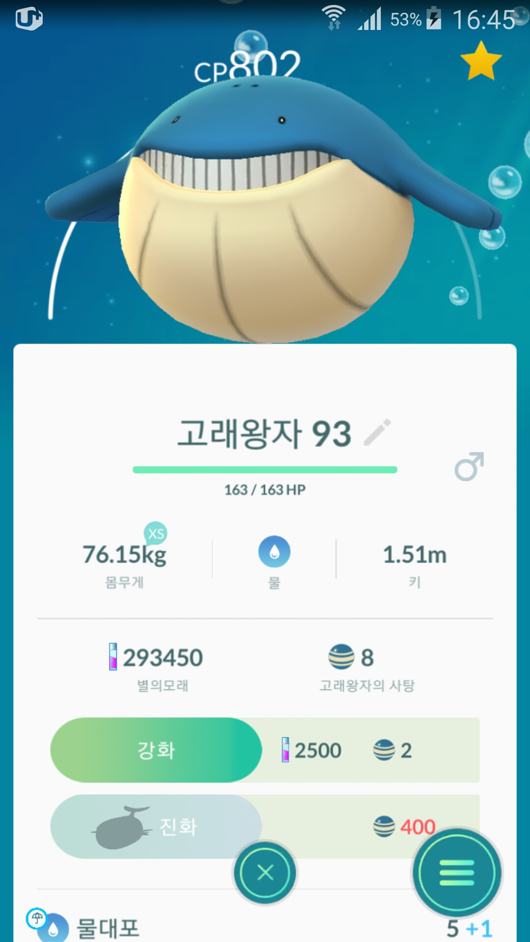고래왕자와  빈티나