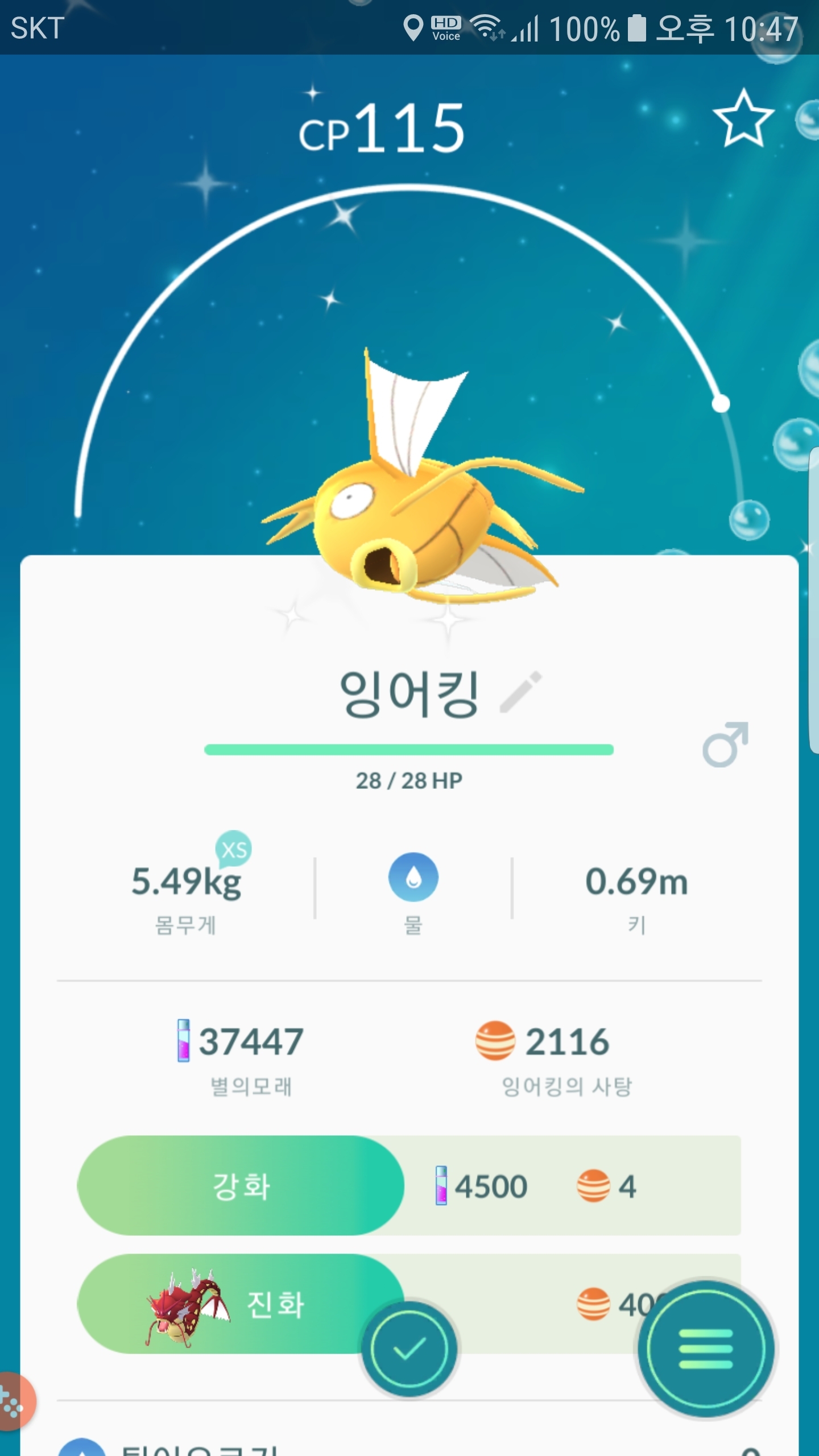 조금전 집에 찾아온 황금잉어킹