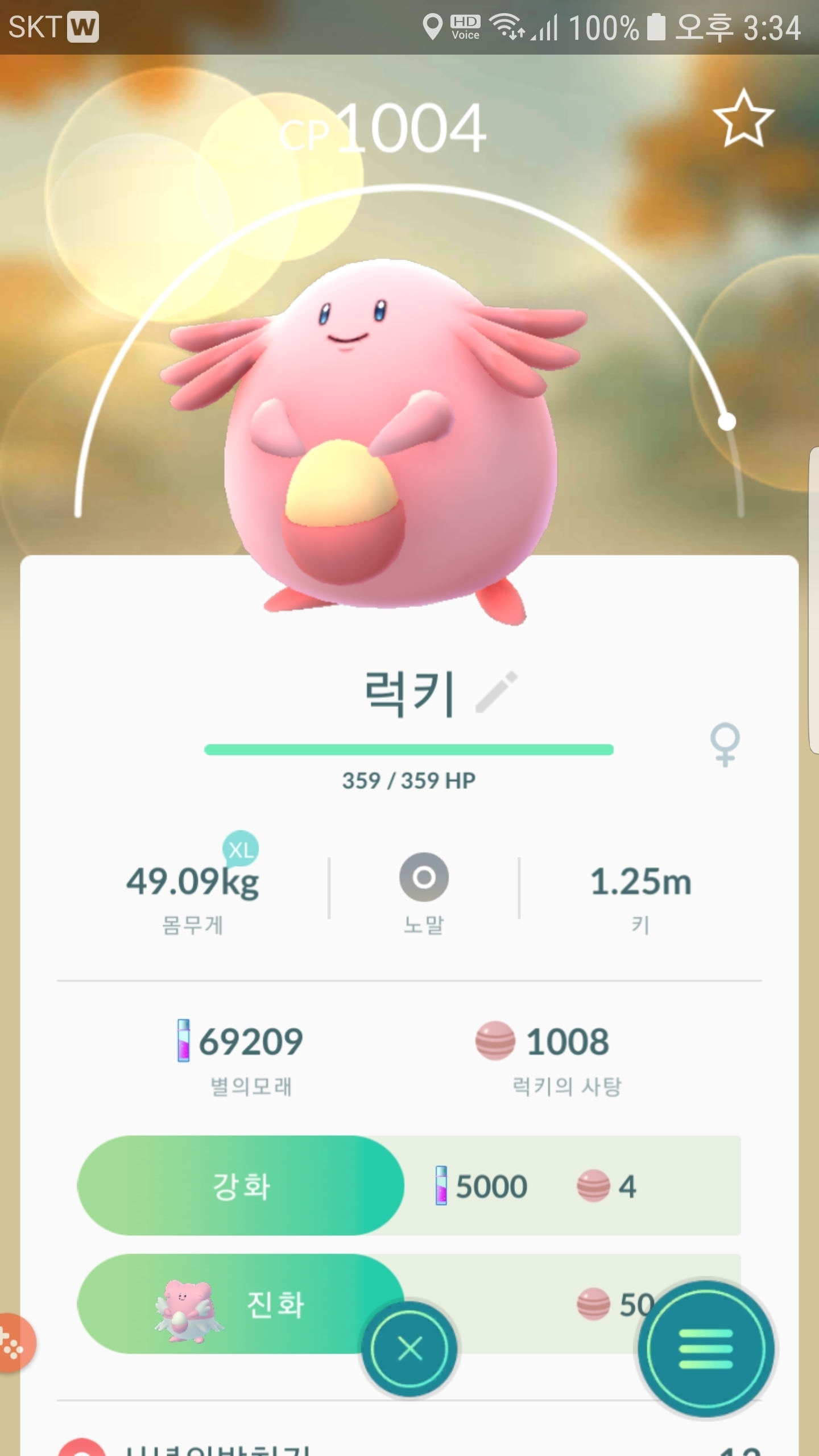 천사럭키두마리 소장용