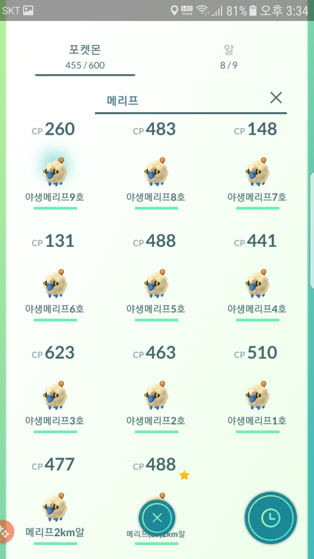 야생메리프 포획