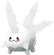 가라르 코산호